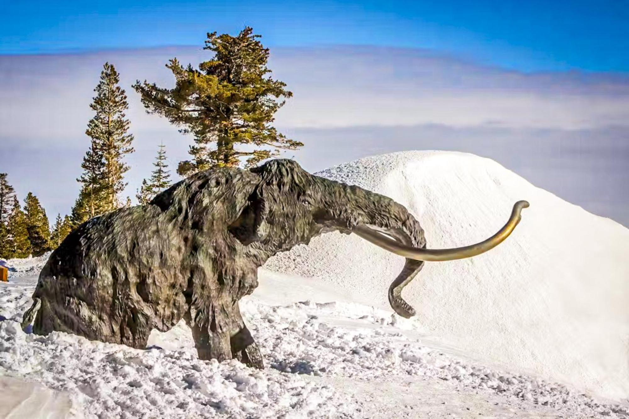 Discovery 4 119 Mammoth Lakes Exteriér fotografie